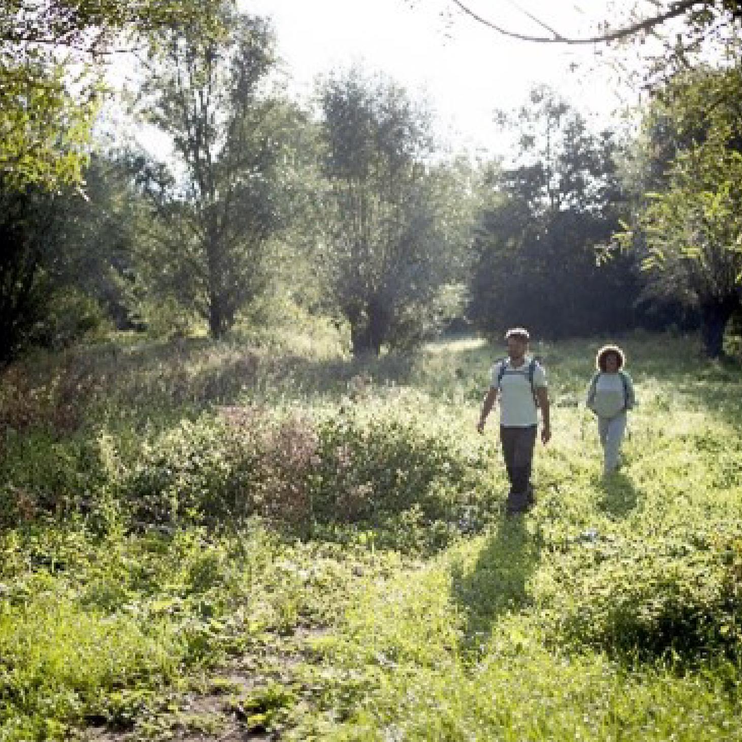 Welkom in Scheldeland
