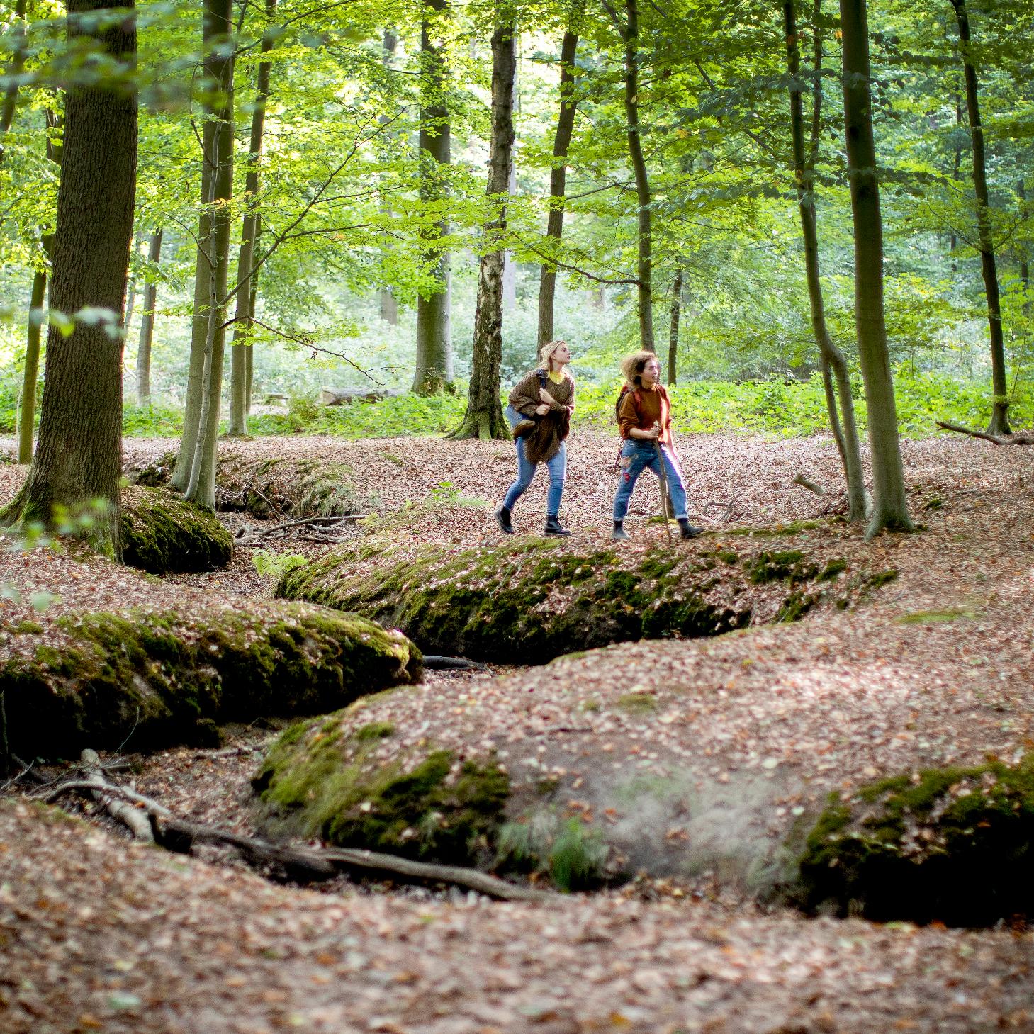 Ontdek het wandelnetwerk Scheldevallei Oost