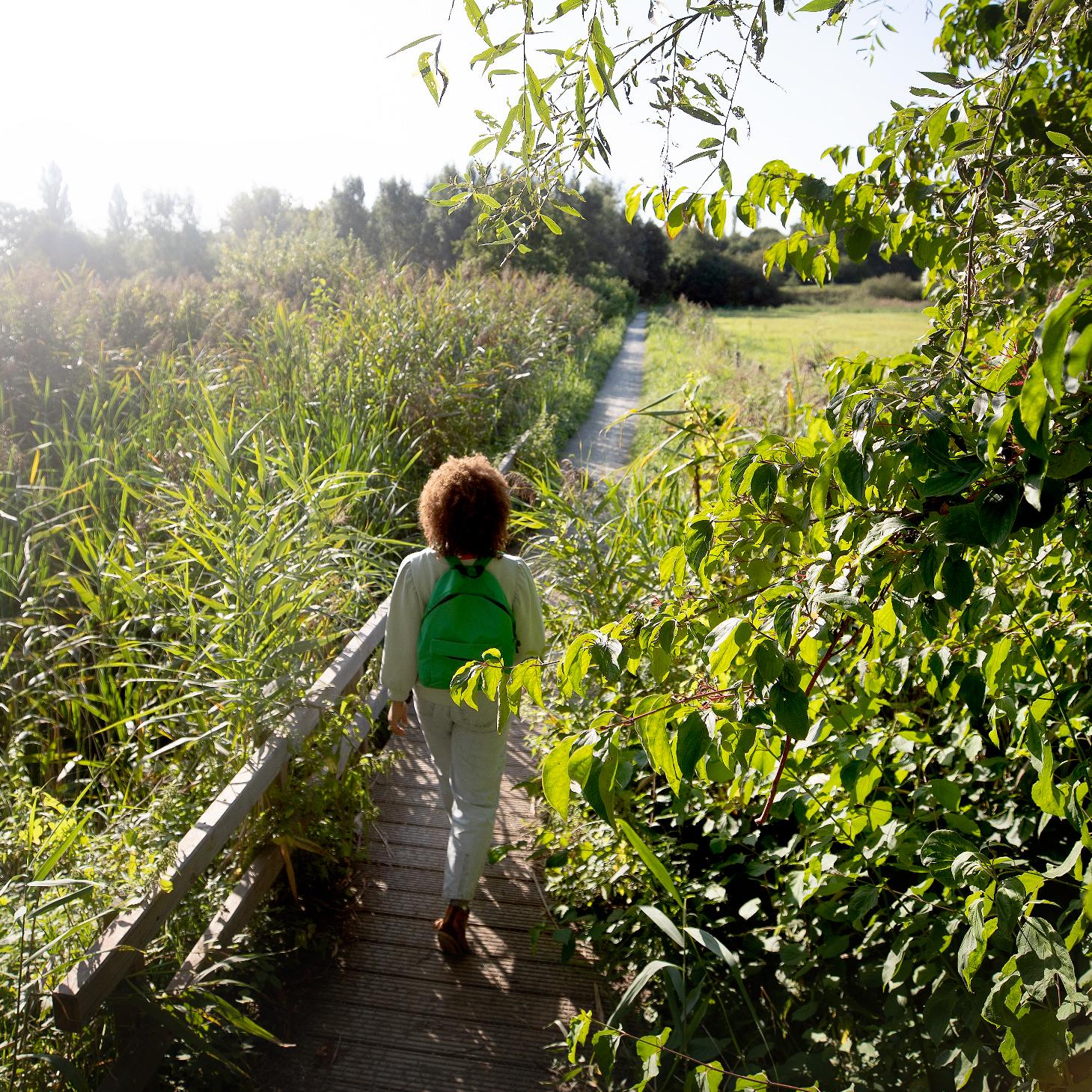 Tips voor een weekendje weg in scheldeland